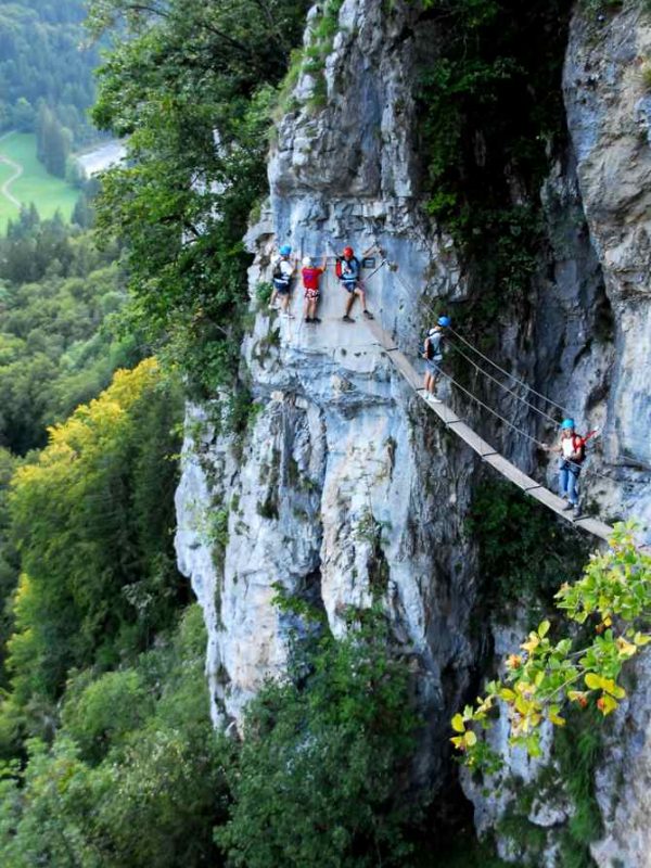 via pont de singe